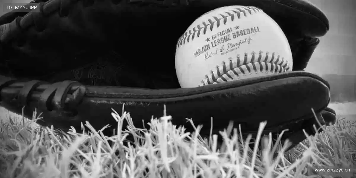 🎯球迷专属，正品周边一键直达！👕